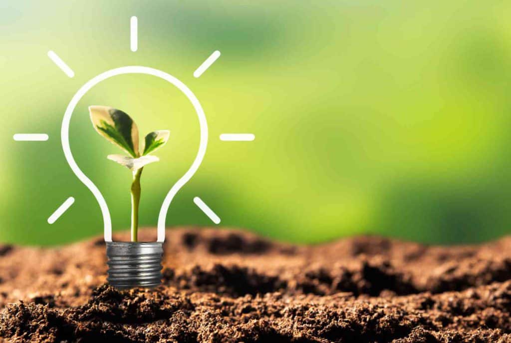 Cuidar el medio ambiente: una gran responsabilidad empresarial - artículo de GuruSoft