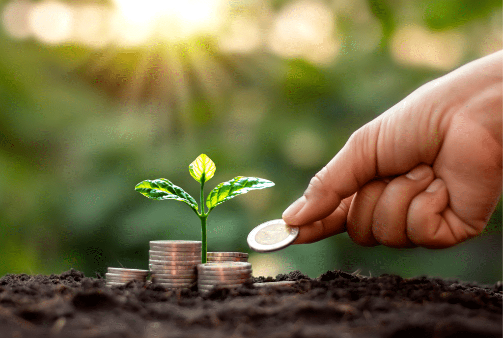 ¿Cómo hacer un plan financiero para tu negocio? - artículo de GuruSoft