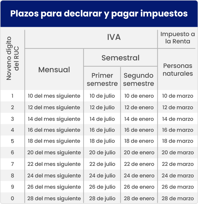 Declaracion De Impuestos Ecuador 004