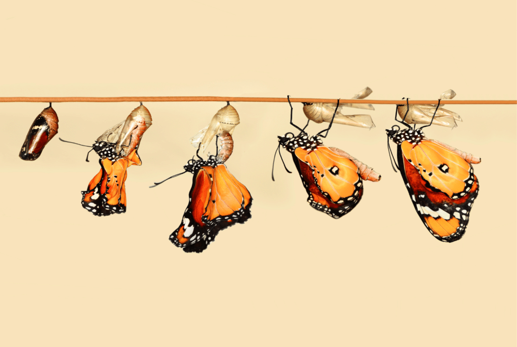 Emprendedores: ¿cómo sobrevivir en un mundo en constante evolución? - artículo de GuruSoft